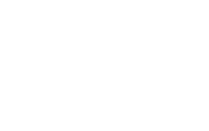 Foppish Apparel Client Logo for IT and BPO Solutions